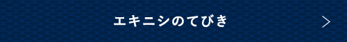 エキニシのてびき