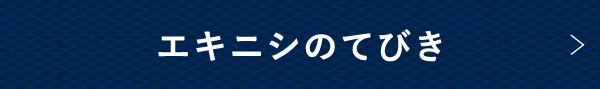 エキニシのてびき